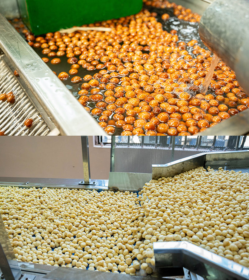 macadamia_sorting